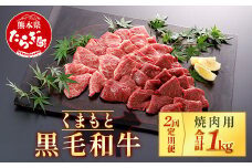 【定期便2回】くまもと黒毛和牛 焼肉用 500g ×2回配送 ブランド 黒毛和牛 焼肉 焼き肉 やきにく 肉 牛肉 多良木町 国産 和牛 030-0703