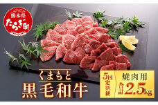 【定期便5回】くまもと黒毛和牛 焼肉用 500g ×5回配送 ブランド 黒毛和牛 焼肉 焼き肉 やきにく 肉 牛肉 多良木町 国産 和牛 030-0704