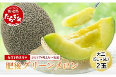 【2026年6月上旬〜順次発送 先行予約】大玉 肥後グリーンメロン 2玉 約4.6kg以上 熊本県産【 果物 フルーツ グリーンメロン 先行予約 4.6kg 青肉 期間限定 数量限定 熊本県 多良木町 】 101-0001