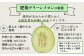 【2024年6月上旬以降発送分 先行予約】肥後グリーンメロン 2玉 合計4.4kg以上