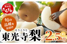 東光寺 梨 2.5kg (5～7玉) 1箱 【2025年7月下旬～順次発送】  完熟 梨 なし フルーツ 果物 夏 旬 幸水 豊水 秋月 新興 新高 025-0573
