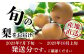 東光寺 梨 2.5kg (5～7玉)
