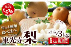 【先行予約】【梨 3品種 定期便】東光寺 梨 2.5～3kg (5～7玉)×3回配送 完熟 (2024年7月下旬～発送分) フルーツ 定期便 なし ナシ 果物 夏 旬 幸水 豊水 秋月 新高 シャリシャリ  025-0574