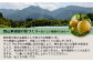 東光寺 梨 5kg入り 1箱 完熟