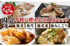 手軽に使える 豚 加工品セット【豚足・豚耳・豚足皮・豚なんこつ】 手軽 常備食 豚肉 肉 常温 おやつ おつまみ ご飯のお供 とんそく ミミガー コラーゲン 096-0002