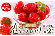【旬】熊本県産 いちご【恋みのり】約260g×2パック   2025年1月～発送 ≪ 苺 イチゴ 数量限定 坂下農園 イチゴ 2パック 苺 フルーツ 果物 春 名産 熊本 多良木町 ビタミン 旬 先行予約 ≫103-0003