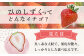 熊本県産 いちご ひのしずく 約260g×2パック