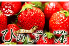 【旬】希少！ 熊本県産 いちご【ひのしずく】約260g×4パック   2025年1月～発送 ≪ 苺 イチゴ 数量限定 坂下農園 イチゴ 1040g 苺 フルーツ 果物 春 名産 熊本 多良木町 ビタミン 旬 先行予約 ≫103-0006
