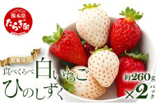 【旬】熊本県産 いちご【ひのしずく・白いちご】食べ比べセット 約260g×2パック   ≪ 苺 イチゴ 数量限定 坂下農園 イチゴ 2パック 苺 フルーツ 果物 春 名産 熊本 多良木町 ビタミン 旬 先行予約 ≫103-0007