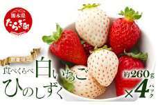 【旬】熊本県産 いちご【ひのしずく・白いちご】食べ比べセット 約260g×各2パック (合計4パック )  ≪ 苺 イチゴ 数量限定 坂下農園 イチゴ 1040g 苺 フルーツ 果物 春 名産 熊本 多良木町 ビタミン 旬 先行予約 ≫103-0008