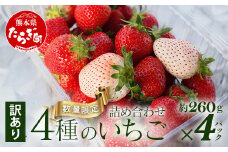 【旬】【訳あり】熊本県産 いちご 詰め合わせ 約260g×4パック ≪ 4種のうち2～4種お届け 苺 イチゴ 数量限定 坂下農園 イチゴ 2パック 苺 フルーツ 果物 春 名産 熊本 多良木町 ビタミン 旬 先行予約 ≫103-0010