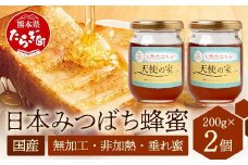 日本みつばち 蜂蜜「天使の宝」2個 セット 【 希少 ニホンミツバチ 100％ はちみつ 高純度 高濃度 垂れ蜜 ハチミツ ジャム 無添加 】094-0003