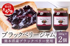 無農薬 自家栽培 「ブラックベリー ジャム」 2瓶 セット 【 ジャム 無農薬 無添加 無水 ベリー  ポリフェノール 栄養 天然素材 スイーツ ゆず フルーツ 果物 】 094-0004