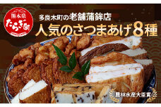 農林水産大臣賞 受賞 蒲鉾店 さつまあげ 8種 詰め合わせセット  真空パック【 さつまあげ さつま揚げ つけあげ 魚介 魚 手軽 便利 加工品 揚げ物 野菜 熊本県 多良木町 】102-0001