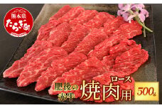 熊本県  肥後 の 赤牛 ロース 焼肉用 500g 【 やわらかい ロース 牛肉 肉 冷凍 多良木町 肥後 特産 肉 焼き肉 やきにく 和牛 赤身 スライス 】  030-0709