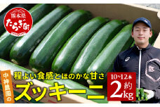 【産地直送】中神農園の ズッキーニ 約2kg (10～12本) 新鮮 野菜 夏 やさい 煮る 炒める 生食 ミネラル ビタミンC ずっきーに 甘み 酸味 用途多様 国産 九州 熊本県 多良木町 送料無料 071-0506