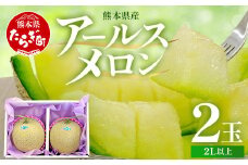 【先行受付・数量限定】熊本県産 アールスメロン 2玉 計約3.2Kg (2L以上×2玉) 【2024年11月中旬より発送開始予定】産地直送 メロン めろん マスクメロン 青肉 果物 フルーツ 国産 先行予約 農家直送 008-0678