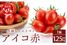 熊本県産 ミニトマト「アイコ (赤色)」約1.25kg 国産トマト アイコ とまと 甘い 熊本 多良木町 農園直送 新鮮 フルーツ トマト フルーティ 020-0532