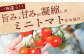 熊本県産 ミニトマト「アイコ (赤色)」約1.25kg