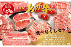 くまもとあか牛食べ尽くしセット 《 ハンバーグ・切り落とし・すき焼きしゃぶしゃぶ用・カルビ焼肉用・肩ロースすき焼きしゃぶしゃぶ用・肩ロース焼肉用・ロースステーキ・ロースしゃぶしゃぶ 》計4.15kg 105-0514