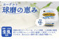 【定期便A 3回】球磨の恵み ヨーグルト ≪加糖≫ 1000g×4個 合計4kg