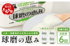 【 定期便D 6回 】球磨の恵み ヨーグルト ≪ 砂糖不使用 ≫ 1000g×4個( 合計4kg )× 6回配送  新鮮 しぼりたて 生乳 使用 とろーり もっちり ほんのり 甘い 無糖 ヨーグルト 食べる ヨーグルト 074-0452