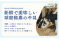 【【定期便】球磨の恵み ヨーグルト＆ドリンクヨーグルト 詰合せ 6種10品 × 6回配送