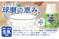 【 定期便【 定期便 3回 】球磨の恵 のむ ヨーグルト (砂糖不使用) 150g×25本× 3回配送