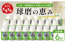 【 定期便J 6回 】球磨の恵 のむ ヨーグルト (砂糖不使用) 150g×25本× 6回配送  新鮮 しぼりたて 生乳 使用 プレーン ドリンク ヨーグルト 飲む ヨーグルト 乳製品 乳酸菌 朝 腸活 074-0460