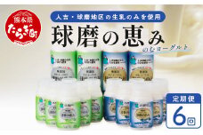 【 定期便L 6回 】球磨の恵 のむ ヨーグルト (加糖・砂糖不使用セット)× 6回配送  新鮮 しぼりたて 生乳 使用 プレーン 加糖 ドリンク ヨーグルト 定期便 飲む ヨーグルト 乳製品 乳酸菌 朝 腸活 074-0462