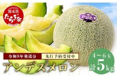 【2026年4月下旬以降発送分】アンデスメロン 4玉～6玉 (1箱5kg) 先行予約 熊本県 多良木町産 果物 フルーツ メロン 先行予約 5kg 青肉 期間限定 数量限定 012-0556-2026