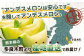 【2026年4月下旬以降発送分 先行予約受付中】アンデスメロン 4玉～6玉（1箱5kg）