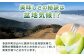 【2026年4月下旬以降発送分 先行予約受付中】アンデスメロン 4玉～6玉（1箱5kg）