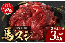 【 定期便 3回 】 熊本県 馬スジ 1㎏（ 500g×2 ） × 3回 【 合計 3kg 】 【 馬肉 すじ肉 大容量 本場 熊本県 馬 赤身 煮込み カレー シチュー 冷凍 真空 熊本 肥育 ヘルシー 赤身 肉 高栄養 肉 】 041-0158