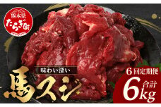 【 定期便 6回 】 熊本県 馬スジ 1㎏（ 500g×2 ） × 6回 【 合計 6kg 】 【 馬肉 すじ肉 大容量 本場 熊本県 馬 赤身 煮込み カレー シチュー 冷凍 真空 熊本 肥育 ヘルシー 赤身 肉 高栄養 肉 】 041-0159