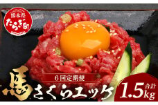 【 定期便 6回 】 熊本県 馬さくらユッケ 250g （ 50g × 5 ） × 6回 【 合計 1500g 】 【 馬刺し 本場 熊本 馬さし 小分け ユッケ 冷凍 真空 熊本 肥育 ヘルシー 赤身 肉 高栄養 肉 】 041-0161