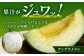 【2025年4月中旬発送開始】熊本県産 アンデスメロン 5玉 約5kg  メロン フルーツ 果物