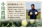 【2025年4月中旬発送開始】熊本県産 アンデスメロン 5玉 約5kg  メロン フルーツ 果物