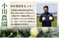 【2025年4月中旬発送開始】熊本県産 ホームランメロン 5玉 約5kg