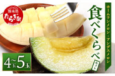 【2026年5月上旬発送開始】【先行予約】熊本県産 ホームランメロン アンデスメロン 食べ比べ 計5玉 約5kg【 令和8年 先行 御予約 予約 ご予約 熊本 くまもと メロン フルーツ 果物 食べくらべ くだもの 】083-0624-2026