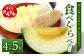 【2025年4月中旬発送開始】熊本県産 ホームランメロン アンデスメロン 食べ比べ 計5玉 約5kg
