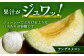 【2025年4月中旬発送開始】熊本県産 ホームランメロン アンデスメロン 食べ比べ 計5玉 約5kg