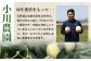 【2025年4月中旬発送開始】熊本県産 ホームランメロン アンデスメロン 食べ比べ 計5玉 約5kg