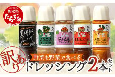 【訳あり】 野菜で野菜を食べる ドレッシング 2本セット 訳あり 玉ねぎ ニンジン ブロッコリー 生姜 黒胡椒 サラダ や 肉料理にも 024-0690