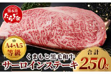 【 A4～ A5 等級 】くまもと黒毛和牛サーロインステーキ 250ｇ【 ブランド 牛肉 肉 サーロイン ステーキ 250ｇ×1枚 ご馳走 ご褒美 和牛 国産 熊本県 上級 上質 】106-0502