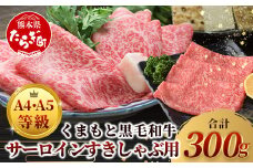 ★厳選部位【A4～ A5等級】くまもと黒毛和牛サーロイン ≪ しゃぶしゃぶ すき焼き用 300ｇ≫ ブランド 牛肉 肉 サーロイン すきやき スキヤキ ご馳走 ご褒美 和牛 国産 熊本県 上級 上質 106-0504