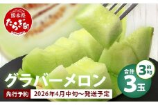 【2026年分 予約】 先行予約 グラバーメロン 3玉 (約3kg) 013-0557-2026