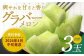 グラバー メロン 3玉（約3kg）