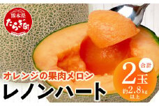 【2026年分 予約】 オレンジの果肉メロン「レノンハート」2玉 (合計約2.8kg以上)  2026年4月下旬～発送 令和8年 予約 013-0559-2026