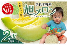 【2026年分 予約】先行予約 「旭メロン (品種：ラブコールメロン）」2玉 (合計約3.5kg以上) 2025年6月中旬～発送開始【 ごほうび めろん 青肉 メロン 大玉 たっぷり 果汁 果物 フルーツ ギフト 】013-0560-2026